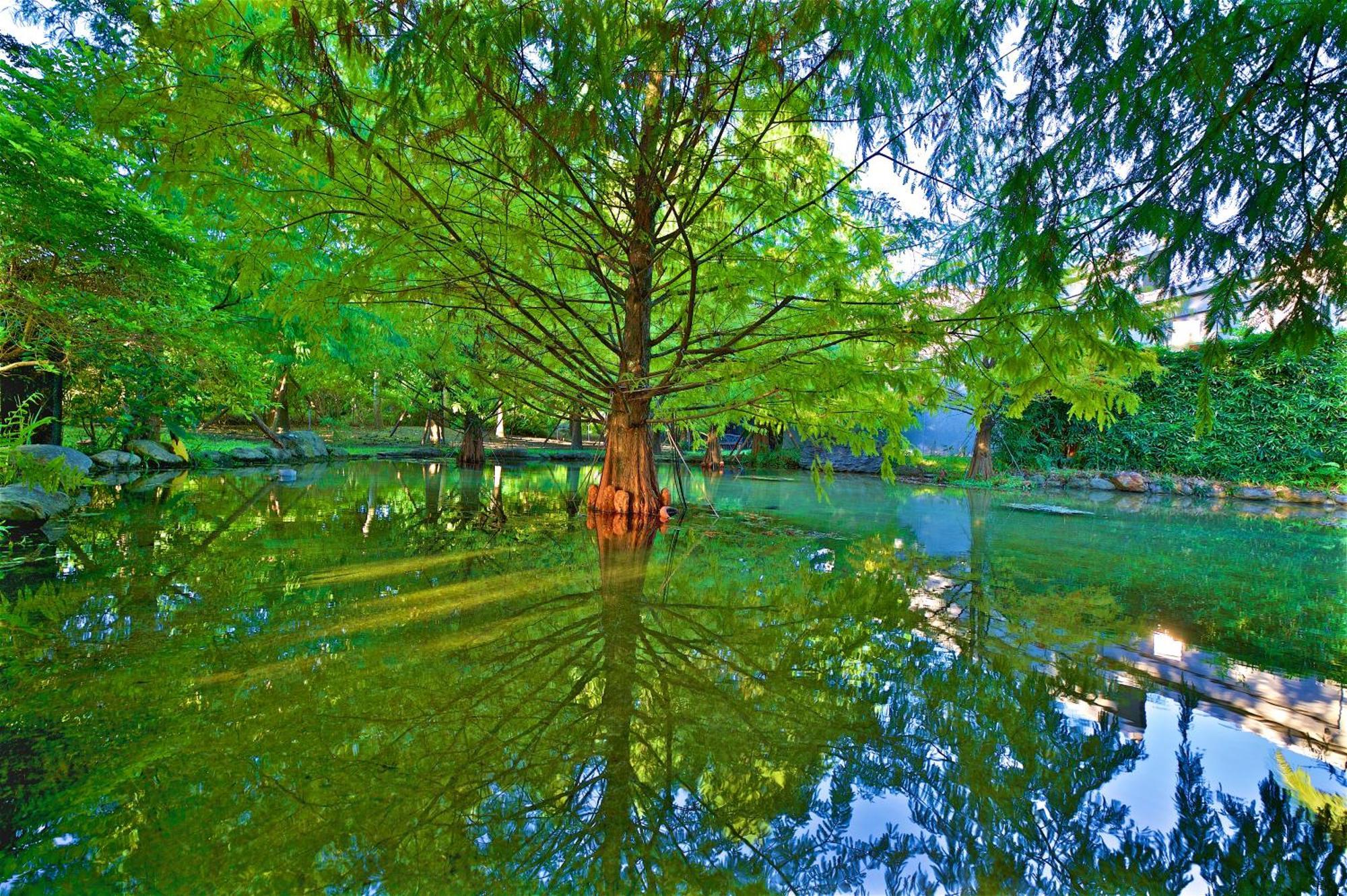 Gaeavilla Resort Ji'an Extérieur photo